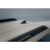 Antenne requin pour Dacia Duster (option usine)