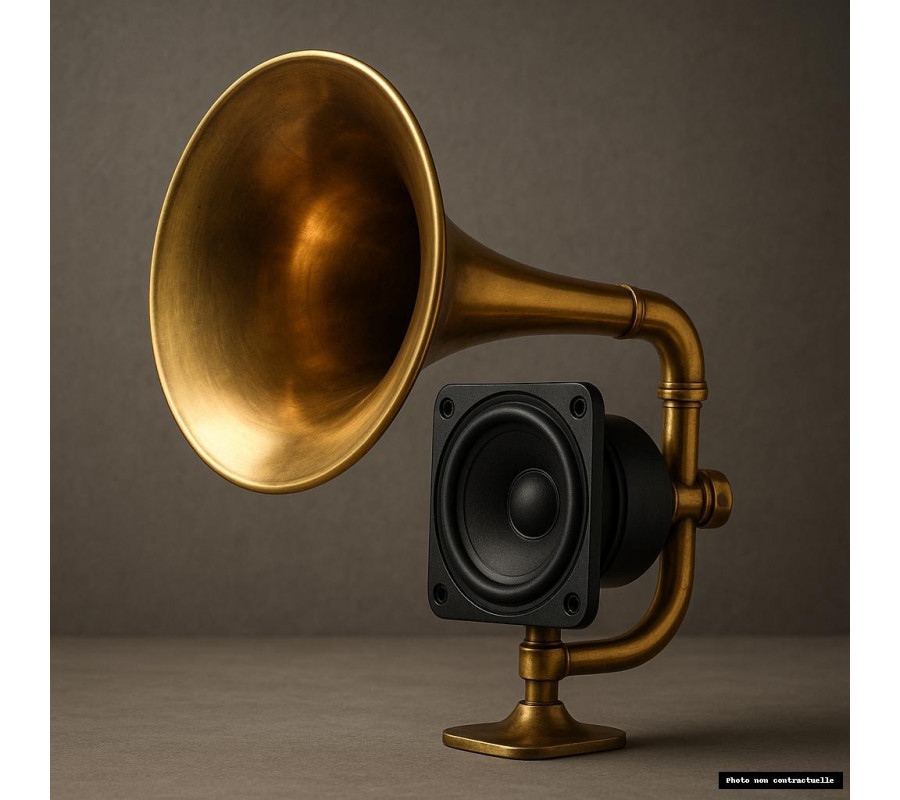 Haut-Parleur 150W avec trompette