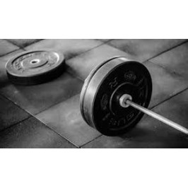 Malus au Poids 2025 KODIAQ 150 Ch