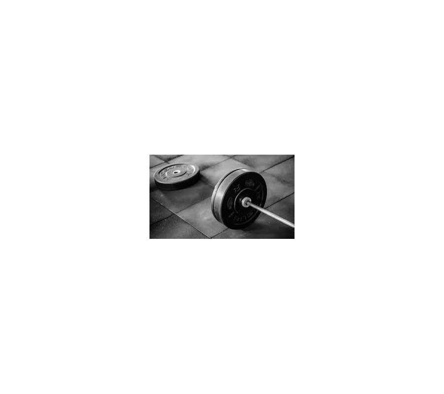 Malus au Poids 2025 KODIAQ 150 Ch