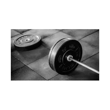 Malus au Poids 2026 MG EHS HEV 1660 €