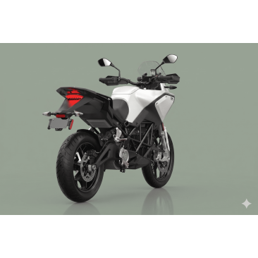Zero Motorcycles DS 2025 (cable de recharge Type2)