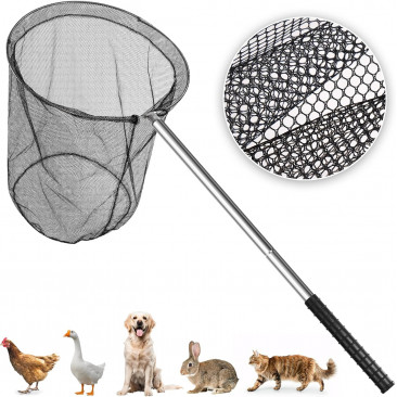 Filet de capture pour chat