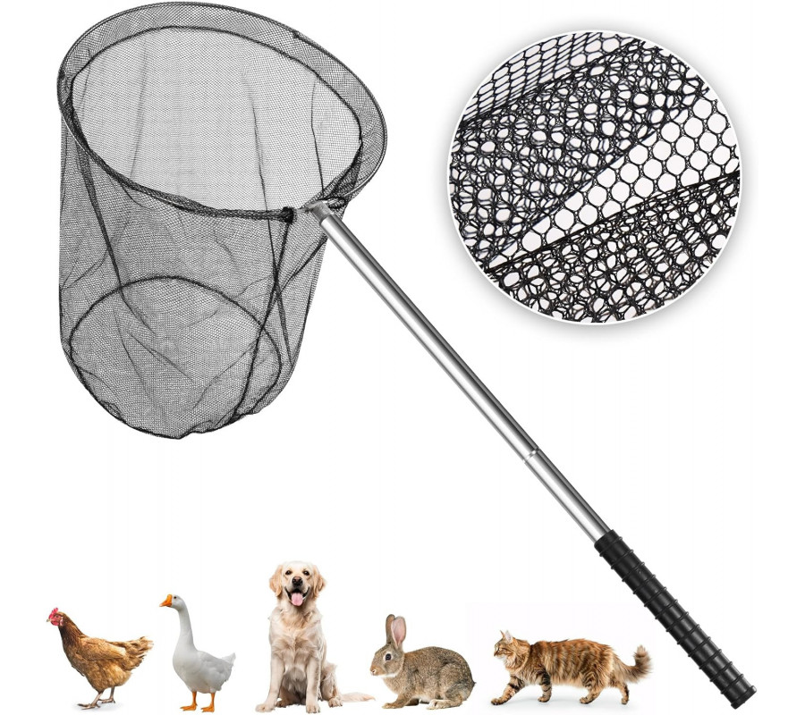 Filet de capture pour chat