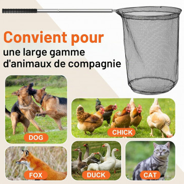 Filet de capture pour chat