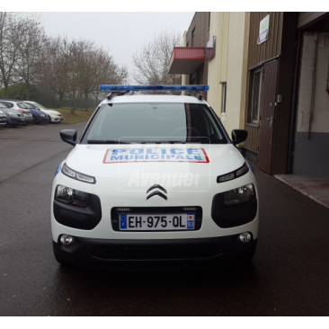 C4 cactus police municipale