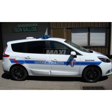 Renault megane scenic