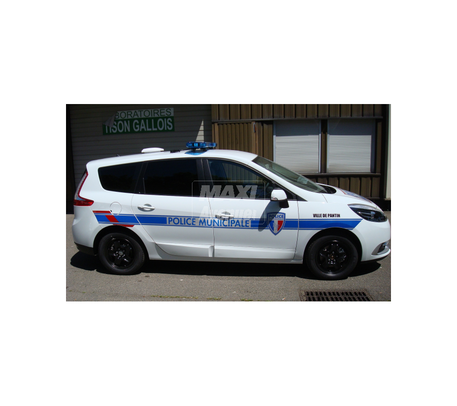 Renault megane scenic