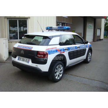 C4 cactus