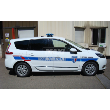 Renault megane scenic