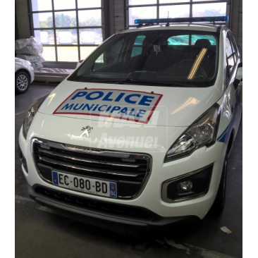 Peugeot 3008 de 2016