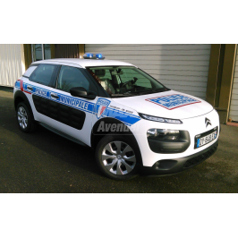Citroen C4 cactus