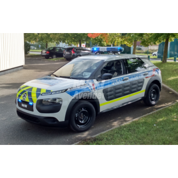 Citroen cactus