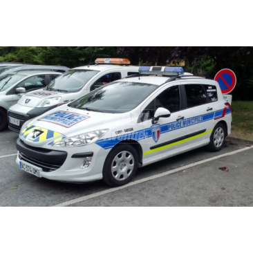 Peugeot 308 sw