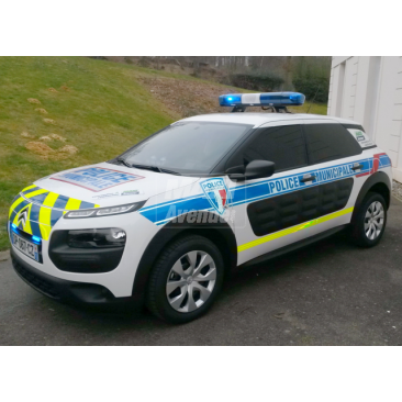 Citroen C4 cactus