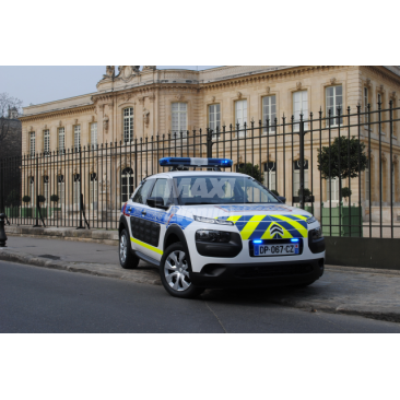 Citroen C4 cactus