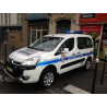 Citroen berlingo dangel 4x4
