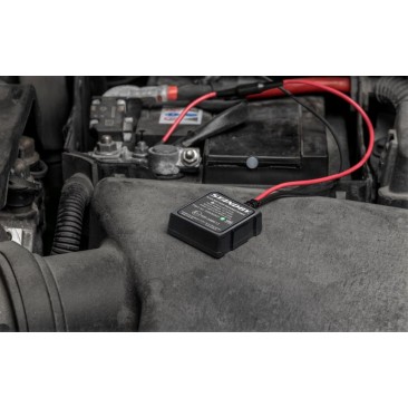 R124 Désulfateur et régénérateur de batterie