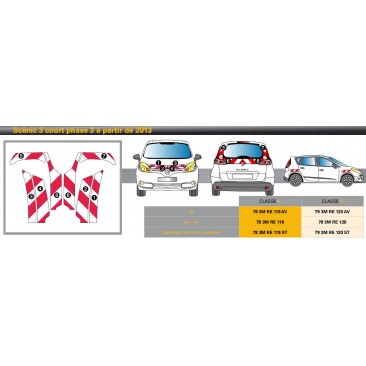 Kit véhicule Renault SCENIC 3 CRT PH3 13 - Classe B - Avant plus arrière - Rouge et blanc