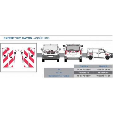 Peugeot Expert KO Hayon de 2016 - Rouge & Blanc - Avant + Arrière + Latéraux - Classe B