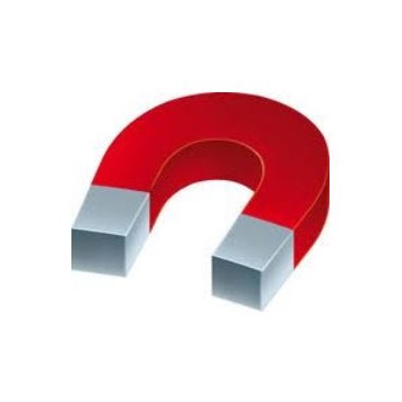 Montage sur patins magnétiques - vitesse limitée à 25 km/h