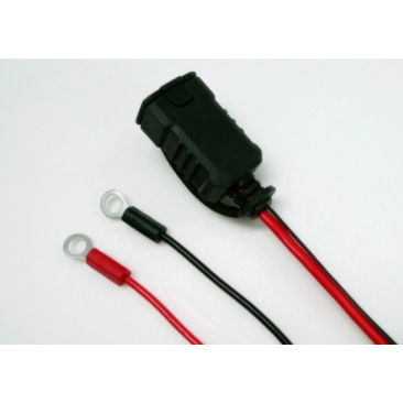 Chargeur étanche 12V 10A